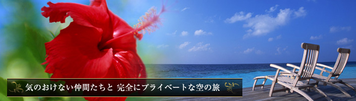 気のおけない仲間たちと　完全にプライベートな空の旅